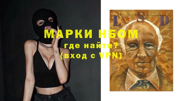 дурь Магас