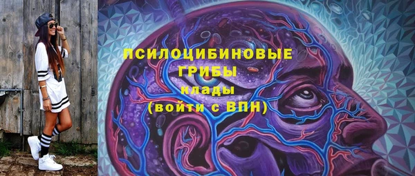 соль ск Лабытнанги