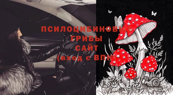 мет Лагань