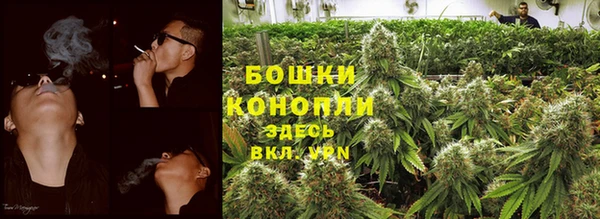 ПСИЛОЦИБИНОВЫЕ ГРИБЫ Коряжма