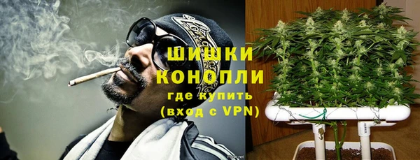 соль ск Ладушкин
