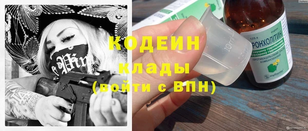 соль ск Ладушкин