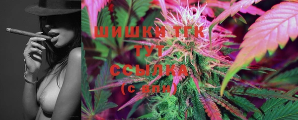 соль ск Ладушкин