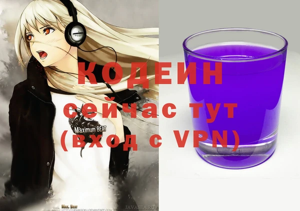 соль ск Ладушкин