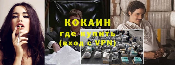 стаф Нея