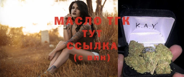 дживик Майский