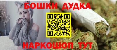 дмт Гай