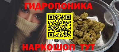 a pvp Гатчина