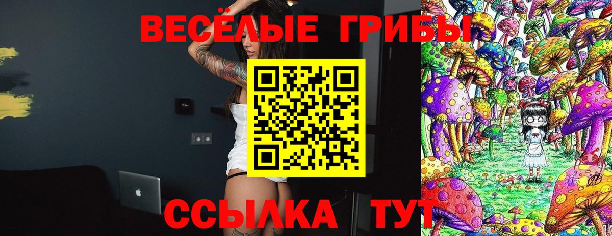 Псилоцибиновые грибы мухоморы  магазин продажи наркотиков  Михайловка  Вход с VPN 