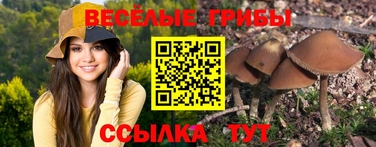 Псилоцибиновые грибы прущие грибы Михайловка